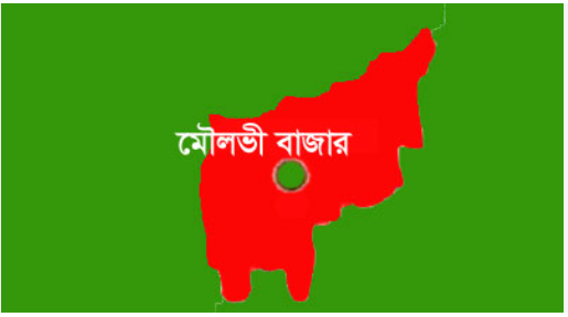 মৌলভীবাজারে ঘনঘন বিদ‍্যুৎ বিভ্রাট, শিক্ষার্থীদের পড়ালেখায় বি...